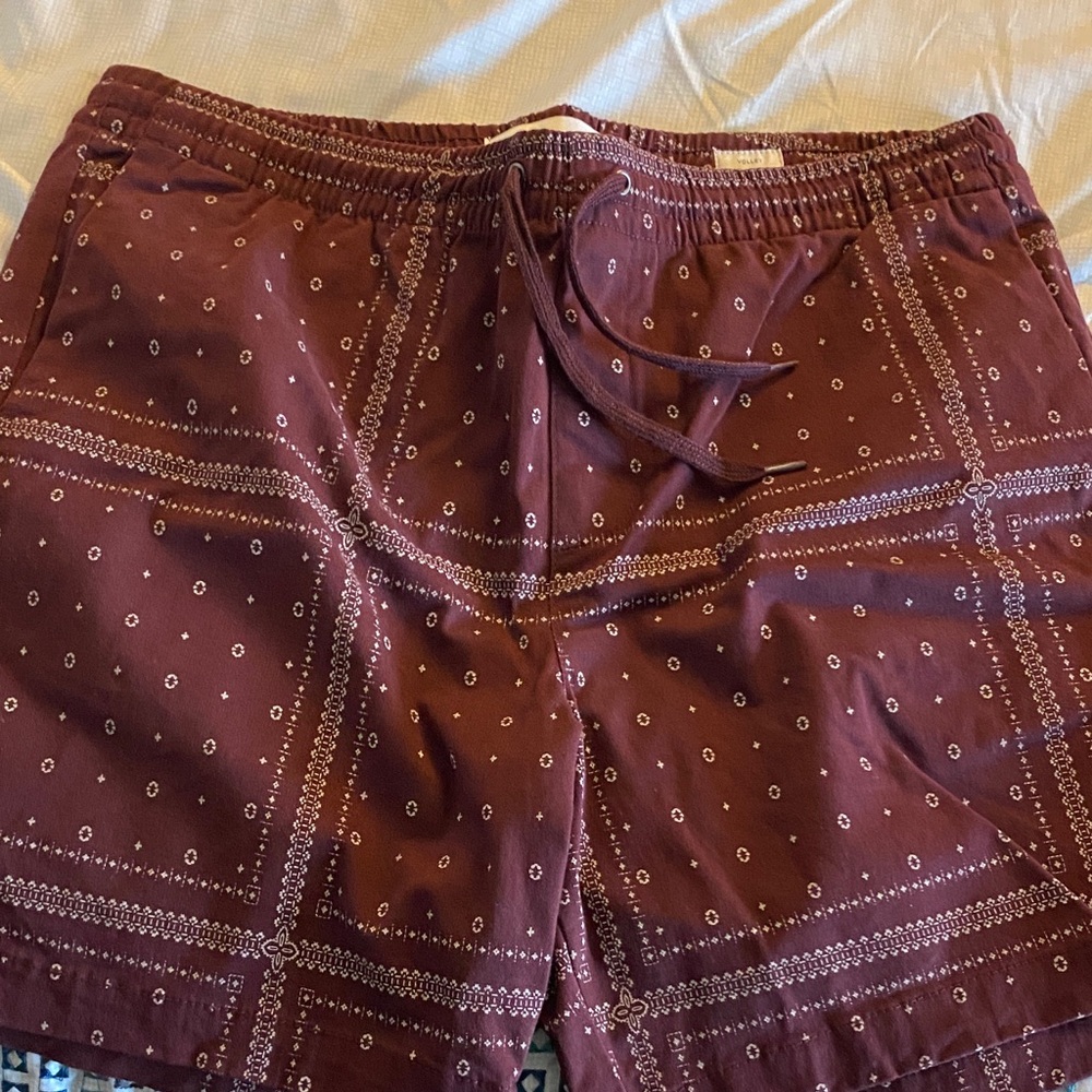 PacSun Burgundy Patterned Shorts